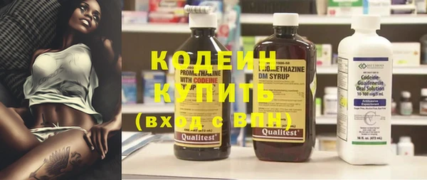 хмурый Елизово