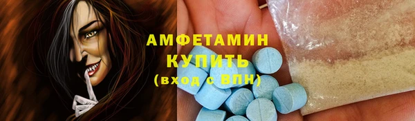 spice Ельня