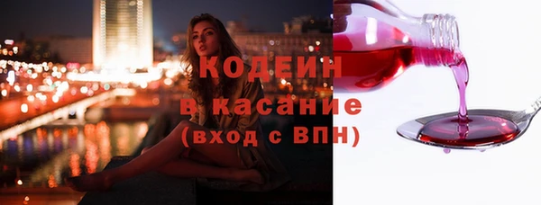 хмурый Елизово