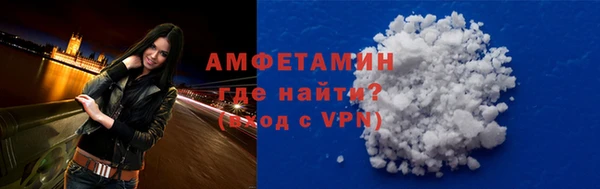 spice Ельня