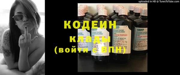 хмурый Елизово