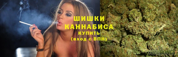 spice Ельня