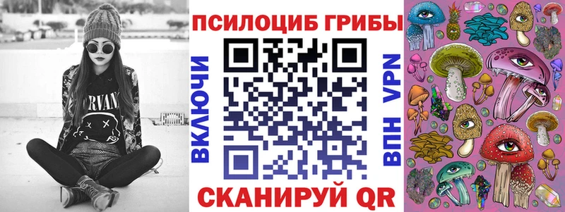 Псилоцибиновые грибы Psilocybine cubensis  магазин продажи   Артём 